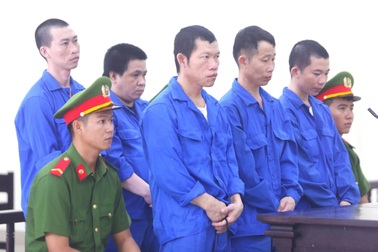 Mâu thuẫn đất trồng cây cao su, 4 anh em ruột cùng lĩnh án tù ở Tây Ninh