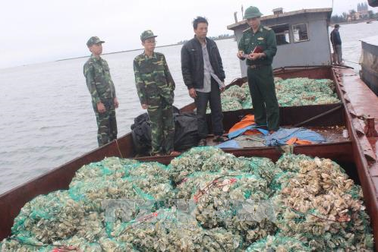 Vận chuyển một lượng lớn  thực phẩm nhập lậu, 3 trường hợp bị xử phạt hơn 100 triệu đồng