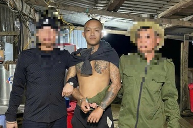 Nghi phạm chính trong đường dây mua bán người liên tỉnh bị bắt