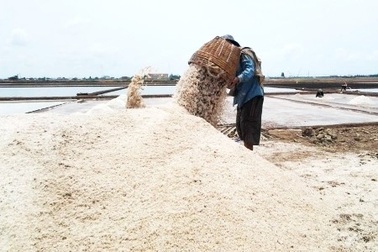 Muối Bạc Liêu nổi tiếng nhưng diêm dân khó sống, Chủ tịch tỉnh nói gì?