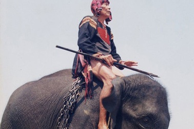 Tắt rồi, một huyền thoại về voi!