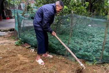 Cụ ông 107 tuổi ngày ngày cuốc đất trồng rau, viết chữ làm thơ