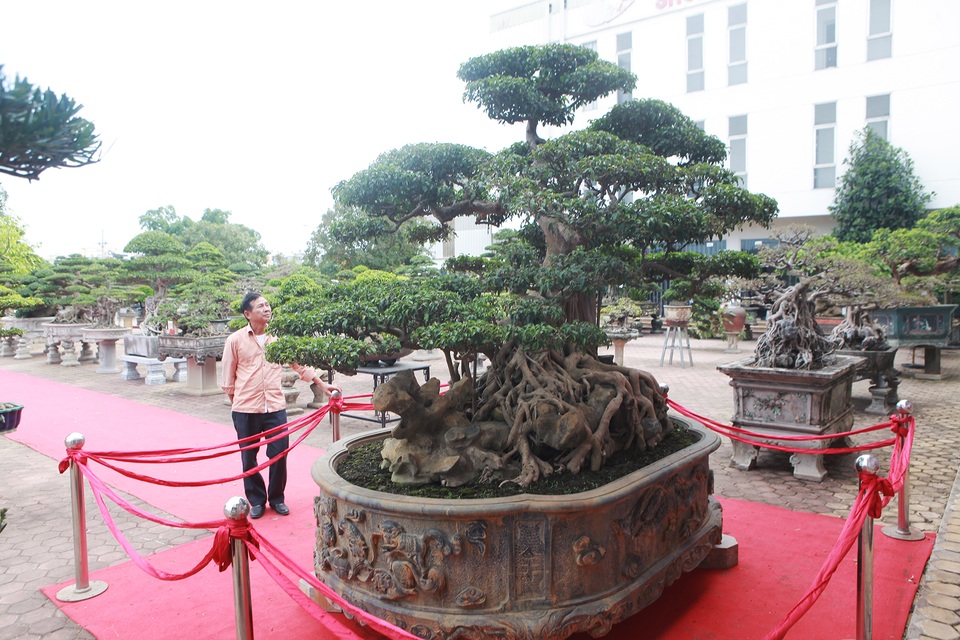Độc đáo sanh cổ hình thuyền rồng của vua Lý Thái Tổ trả 6 tỷ đồng không bán - 5 Độc đáo sanh cổ hình thuyền rồng của vua Lý Thái Tổ trả 6 tỷ đồng không bán - 5