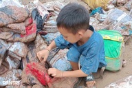 Học sinh vùng lũ Nghệ An sẽ tựu trường ở nhà văn hóa bản