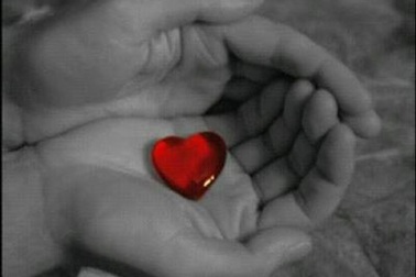 Hạnh phúc là gì?