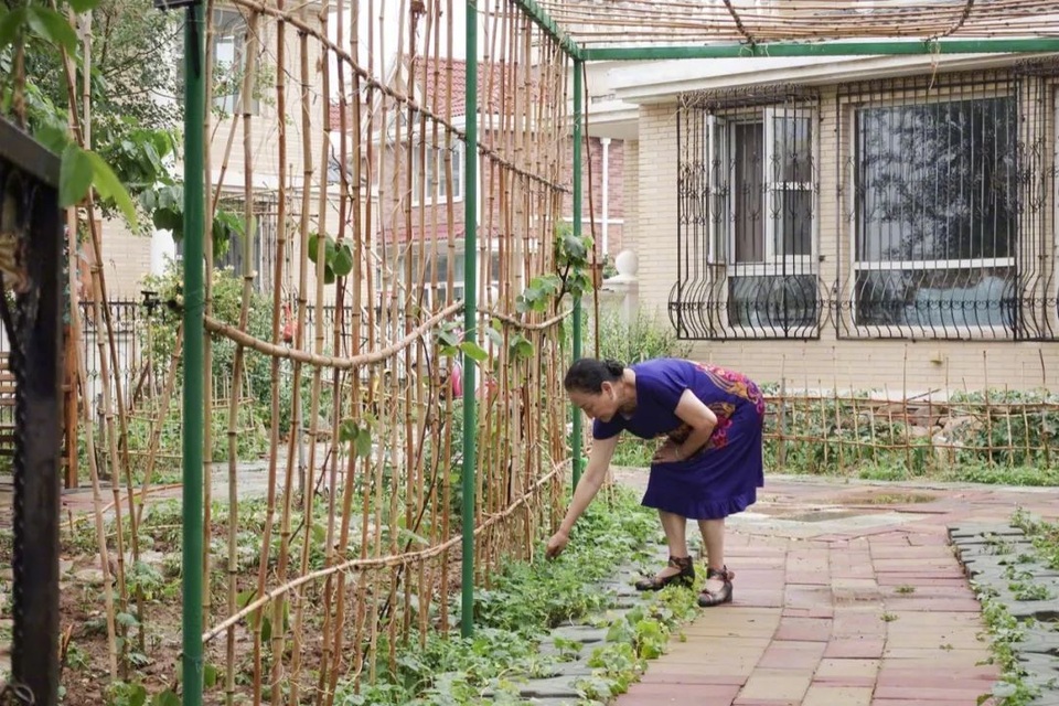 Bỏ phố về quê, 7 cặp vợ chồng già thuê biệt thự sống cùng nhau đến cuối đời - 3 Bỏ phố về quê, 7 cặp vợ chồng già thuê biệt thự sống cùng nhau đến cuối đời - 3