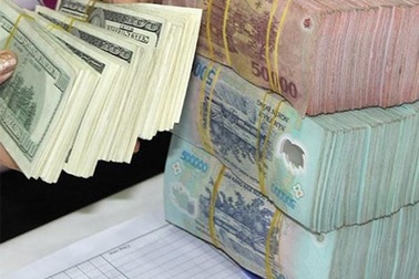 Bất thường tỷ giá: Do cầu thực hay do đầu cơ? 