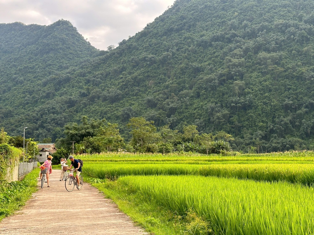 Mô hình du lịch nông thôn thành công ở Lào Cai, hút khách Tây trải nghiệm - 1