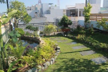 Ông bố 2 con ở Đà Nẵng “làm vườn, nuôi cá” đẹp mê trên sân thượng nhà phố