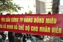 Người lao động công ty Vàng Bồng Miêu đòi sổ BHXH