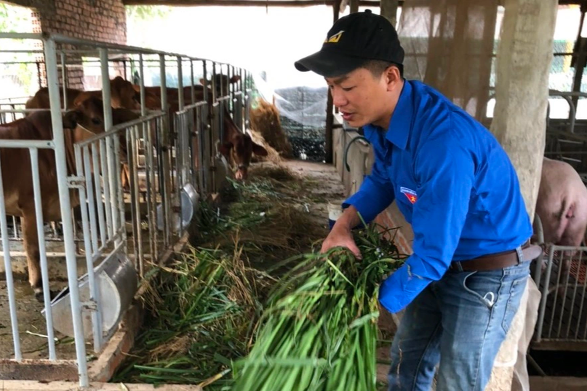 Khởi nghiệp từ 4 con heo giống, 8X làm chủ trang trại tiền tỷ - 3 Khởi nghiệp từ 4 con heo giống, 8X làm chủ trang trại tiền tỷ - 3
