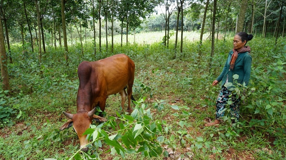 Đồng Nai lan tỏa tinh thần tự lực thoát nghèo - 1