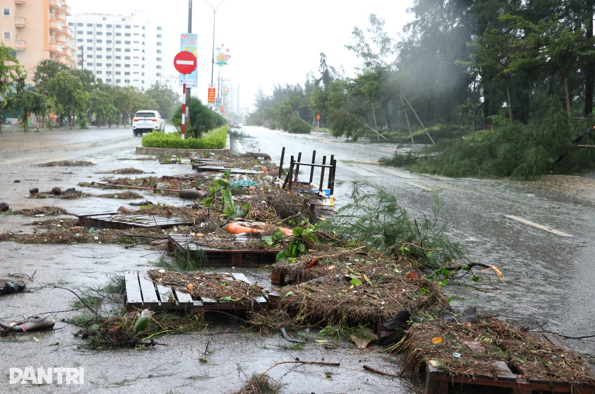 Gió bão Kajiki khiến chủ nhà hàng ở Cửa Lò trắng tay - 13 Gió bão Kajiki khiến chủ nhà hàng ở Cửa Lò trắng tay - 13