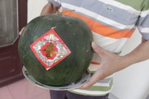 Trưng gần 1 năm, dưa hấu vẫn tươi!