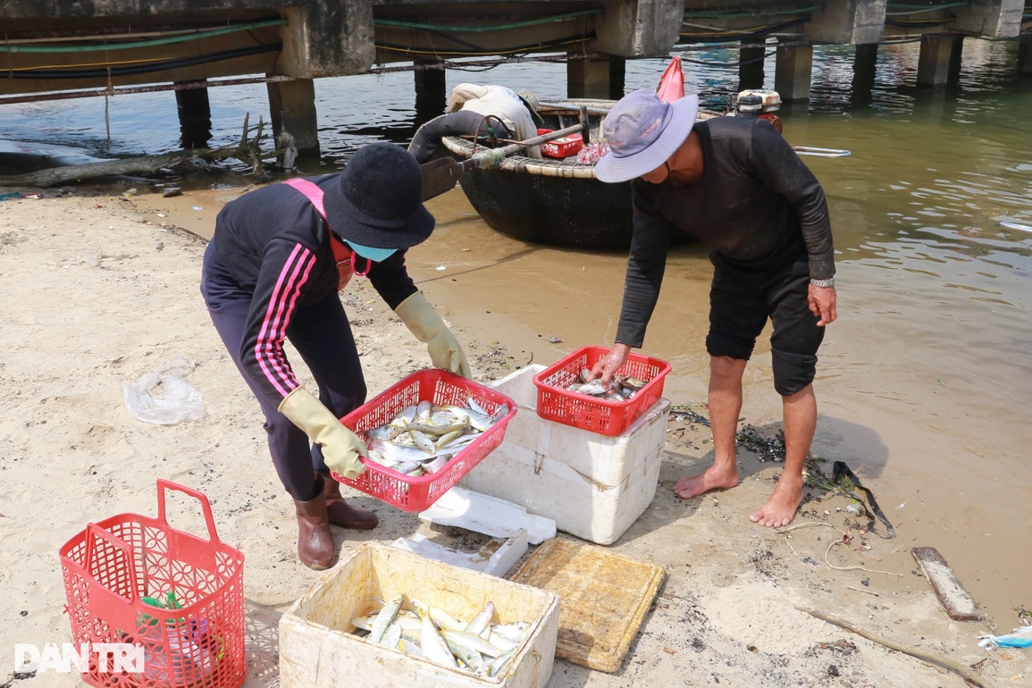 Ngư dân kiếm tiền triệu mỗi chuyến ra khơi nhờ đánh bắt đặc sản - 7 Ngư dân kiếm tiền triệu mỗi chuyến ra khơi nhờ đánh bắt đặc sản - 7