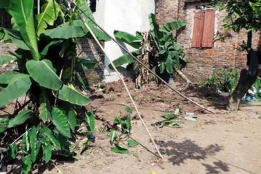 Bác họ sát hại cháu trai, phi tang xác bị tuyên phạt 20 năm tù