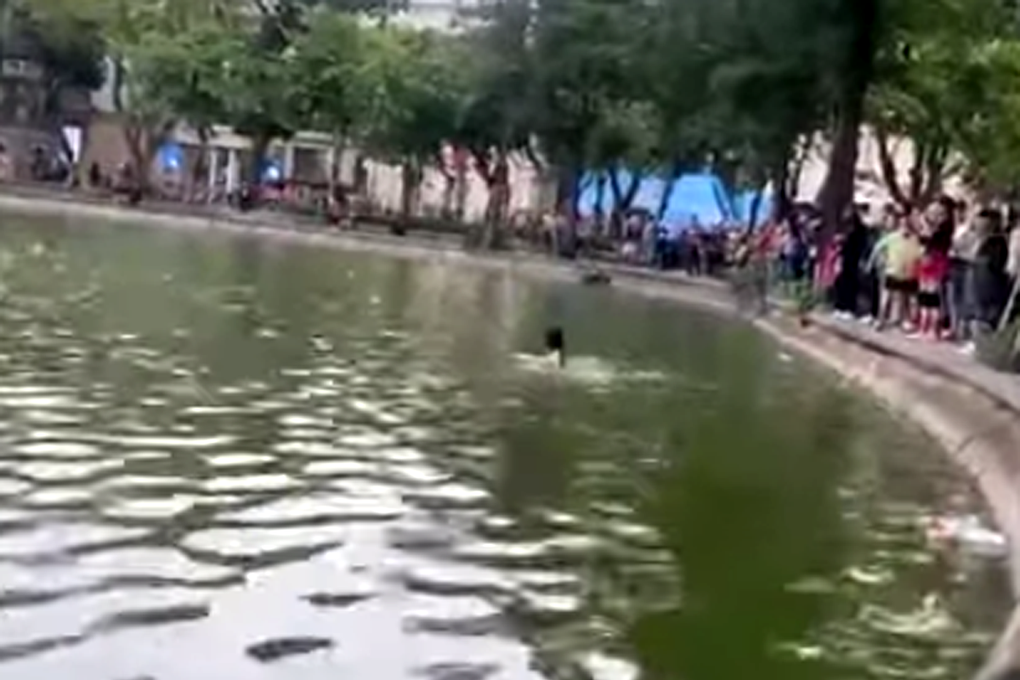 Vụ cô gái đuối nước ở hồ Hoàn Kiếm: Trách người Hà Nội vô cảm, có vội vàng? - 1 Vụ cô gái đuối nước ở hồ Hoàn Kiếm: Trách người Hà Nội vô cảm, có vội vàng? - 1