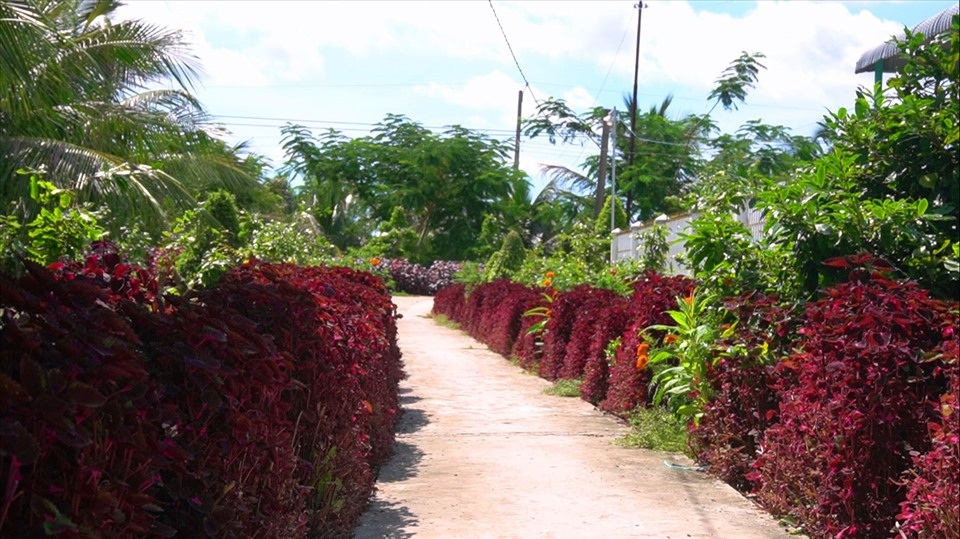 Chiêm ngưỡng ngôi nhà quê với hàng rào độc khiến thị dân chỉ biết mơ ước - 7 Chiêm ngưỡng ngôi nhà quê với hàng rào độc khiến thị dân chỉ biết mơ ước - 7