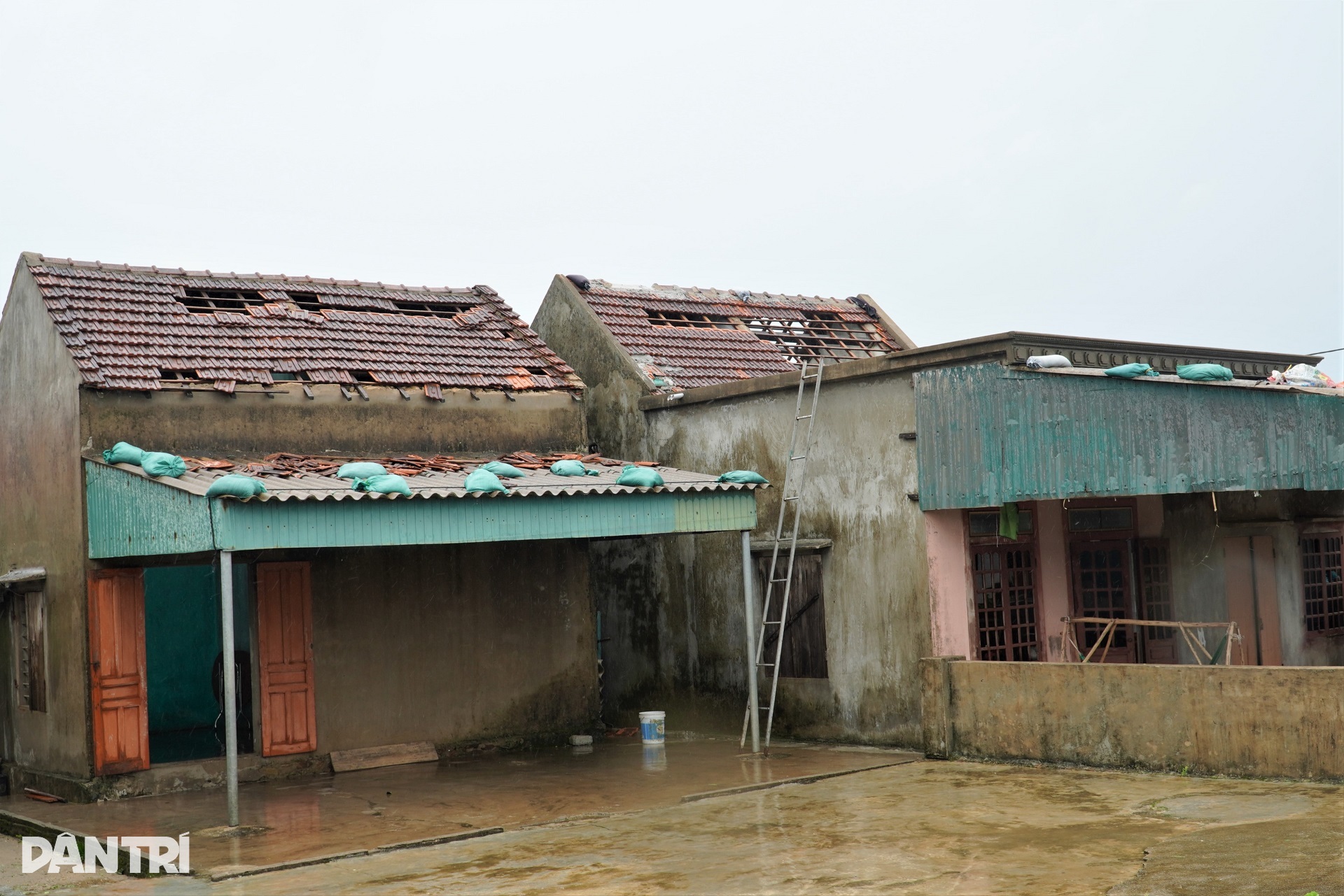 Nhà vừa khắc phục xong lại bị bão Bualoi tàn phá, người dân bật khóc nức nở - 1