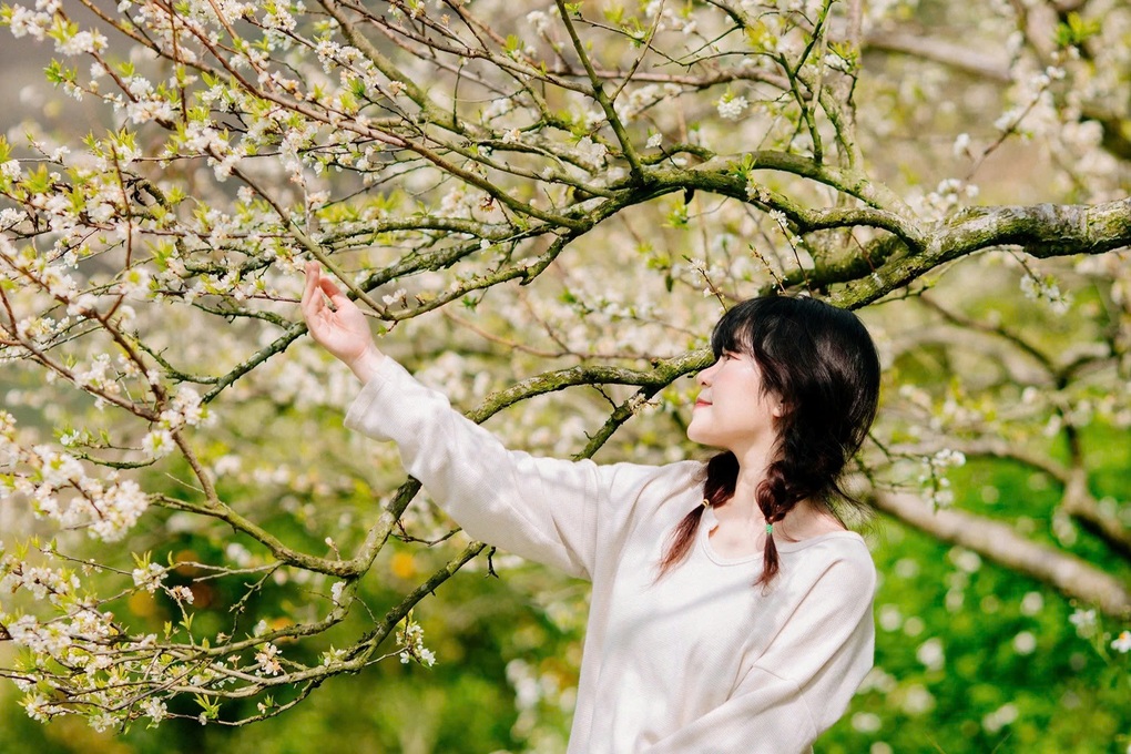 Nông nghiệp xanh ở Sơn La tạo nên thương hiệu du lịch nông thôn Tây Bắc - 3 Nông nghiệp xanh ở Sơn La tạo nên thương hiệu du lịch nông thôn Tây Bắc - 3