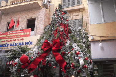 Hà Nội: GenZ xếp hàng dài chụp ảnh ở quán cà phê có cây thông Noel khổng lồ