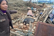 Thu hồi đất đóng thuế liên tục của dân không một đồng bồi thường, UBND TP Lào Cai nói gì?