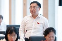 Đại biểu Quốc hội lo ngại nếu "tội phạm tăng, hình phạt giảm"