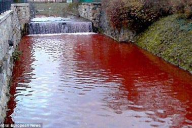 Chuyện có thật về một “dòng sông máu”