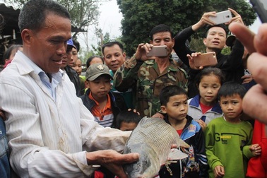 “Cá thần” sắp bị... om dưa sau 5 ngày ngụp lặn gây xôn xao dư luận