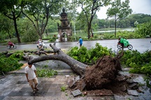 Cây đổ la liệt khắp đường phố Hà Nội