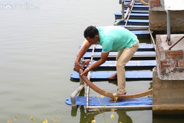 Một nông dân thu lợi 1 tỷ đồng/năm nhờ áp dụng công nghệ "sông trong ao"