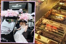 Nhiều cặp đôi sinh năm Hợi đổ xô tới trang trại để... tổ chức đám cưới