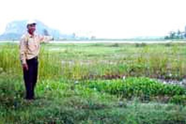 Bị xử lý hành chính vì rút ruột nhà nước... 800 triệu đồng (!)