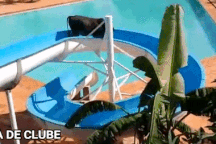 Clip: Bò trốn thoát khỏi lò mổ, ra công viên trượt nước