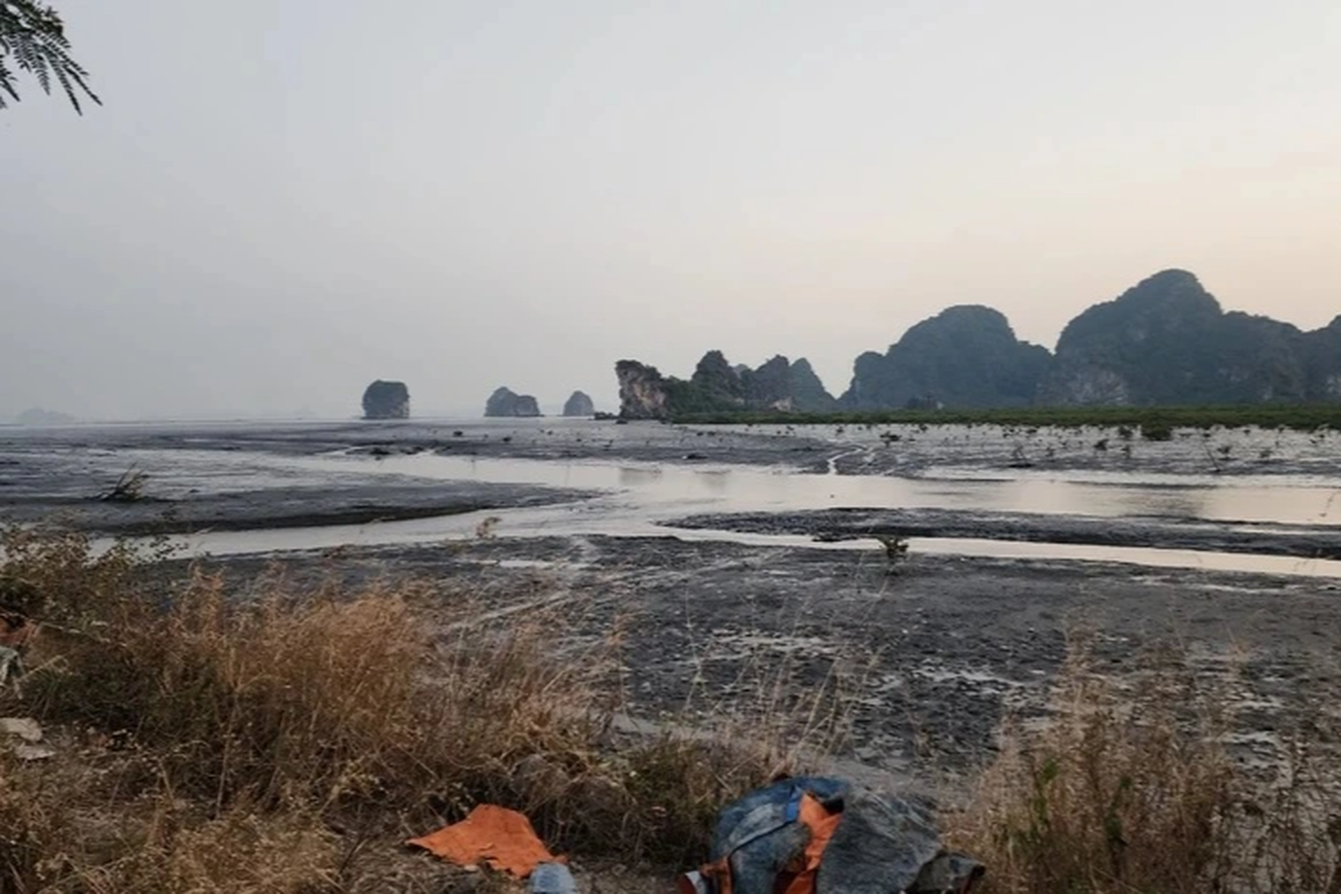 Hiện trạng dự án lấn biển có một phần diện tích ở vùng đệm vịnh Hạ Long - 3 Hiện trạng dự án lấn biển có một phần diện tích ở vùng đệm vịnh Hạ Long - 3