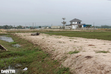 Sốt đất vùng quê giá nhảy từng giờ, "cò" náo loạn rồi bỗng dưng biến mất