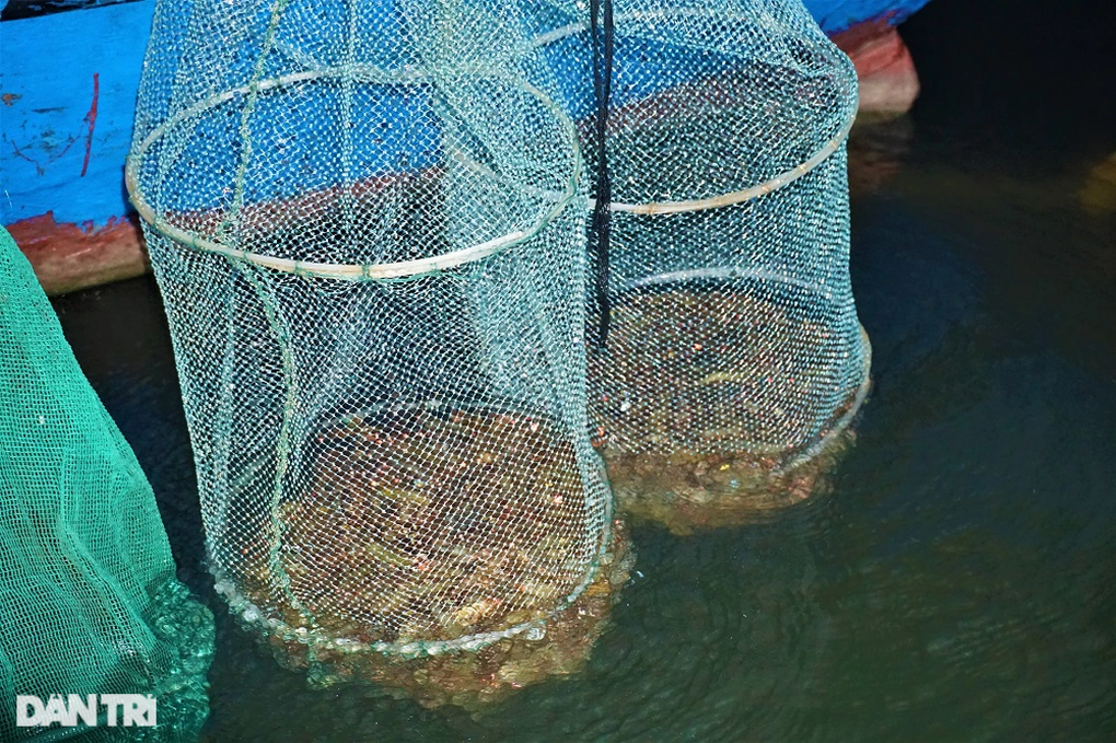 Tuyệt chiêu dụ tôm của ngư phủ cả đời cắm chốt nơi cửa sông - 9 Tuyệt chiêu dụ tôm của ngư phủ cả đời cắm chốt nơi cửa sông - 9