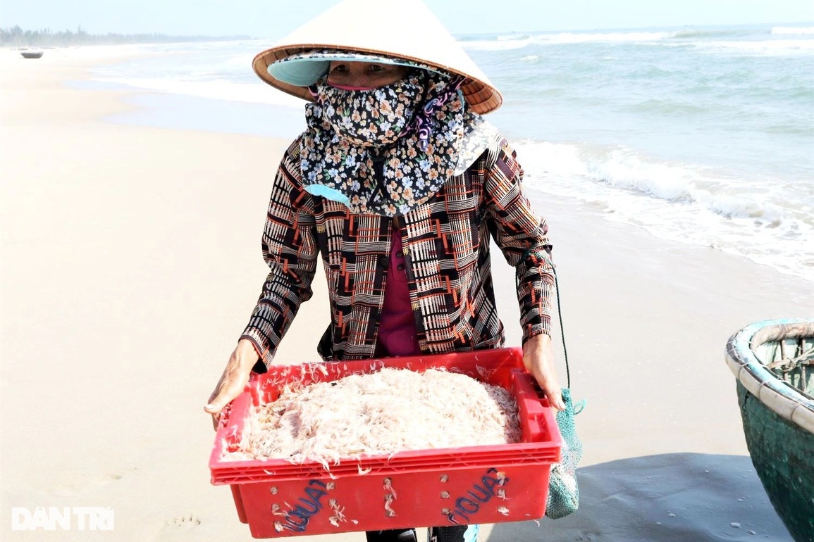 Bắt con nhỏ mà có võ, ngư dân thu tiền đều tay mỗi ngày - 3 Bắt con nhỏ mà có võ, ngư dân thu tiền đều tay mỗi ngày - 3