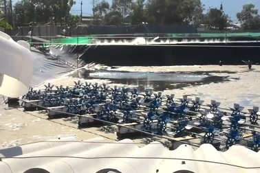 Xâm nhập các hồ nuôi tôm chân trắng trái phép tại thị trấn biển Lăng