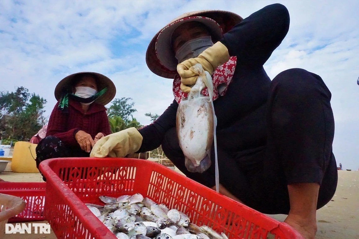 Bám biển vài tiếng, ngư dân thu tiền triệu nhờ ngón nghề tay trái - 11 Bám biển vài tiếng, ngư dân thu tiền triệu nhờ ngón nghề tay trái - 11