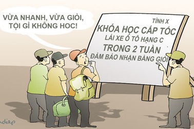 Thế này thì phải đến Hải Phòng học lái xe thôi!