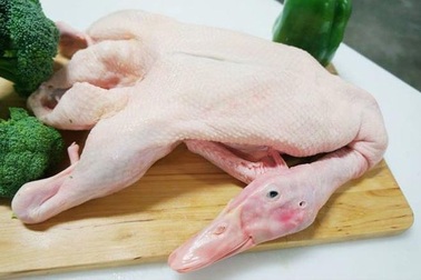 Xử lý sạch sẽ lông măng trên da vịt với một loại lá dễ tìm