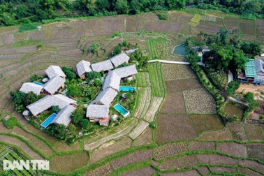 Ban Bí thư: Khẩn trương sắp xếp thôn, tổ dân phố