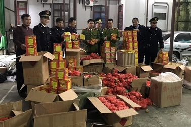 Bắt giữ gần 1 tấn pháo nổ