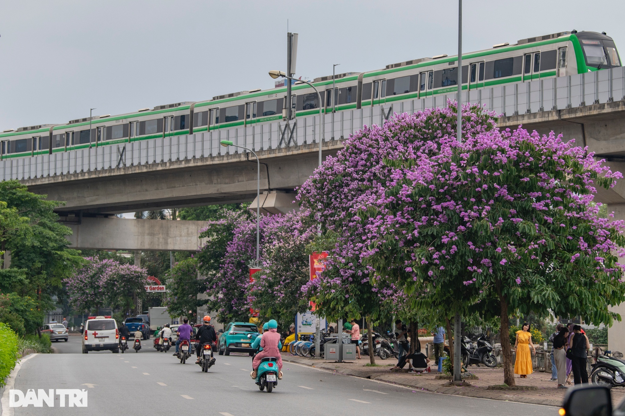 Giới trẻ xin nghỉ làm, tranh thủ 