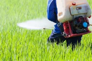 Thuốc bảo vệ thực vật: Đâu là “quân cờ” phòng ngự an toàn?