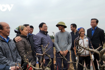 Kiểm tra Dự án đường Vành đai 4: Thủ tướng biểu dương Hà Nội, Bắc Ninh, Hưng Yên