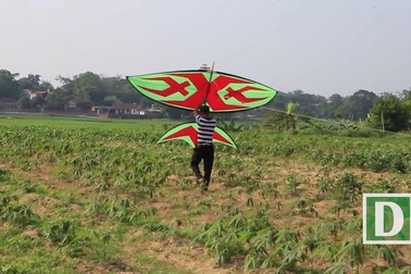 Độc đáo lễ hội diều rực rỡ màu sắc ở ngoại thành Hà Nội