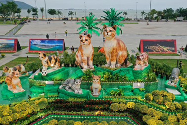 Bình Định gia nhập hội linh vật "mèo thần thái" chào xuân