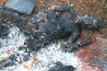 Phát hiện một thi thể nam giới cháy đen trong rẫy của người dân